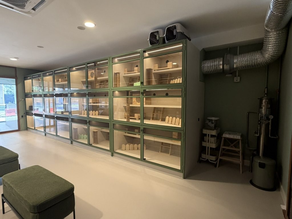 A bank of glass cages with ventilation ducting above and beside them